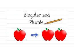 plural جمع